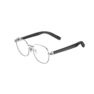 Voice Control Wireless Audio Eyewear